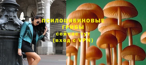 дурь Алексеевка