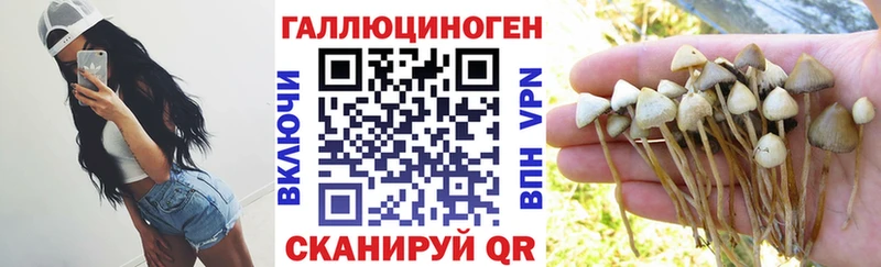 Псилоцибиновые грибы Psilocybe  хочу наркоту  Николаевск 